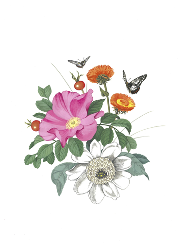 MCH_Artworks_ARTW000110600.png